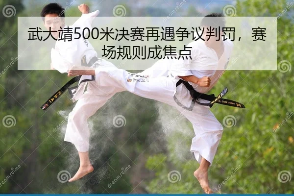武大靖500米决赛再遇争议判罚，赛场规则成焦点
